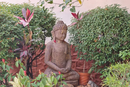 Green Campus (3)